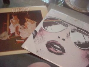 2- PRISM lp's, ein Preis, eine NOCH VERSIEGELT - Bild 1 von 1
