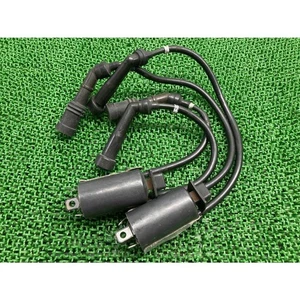 Xv1600 Roadster Ignition Coil 4Wm-10/129700-3840 Yamaha Genuine Used Vp12J 4Wm-1 - Foto 1 di 8