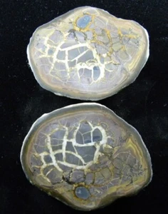 Polished septarian Nodule slices (Pair) Morocco 120.03 Grams - Picture 1 of 6