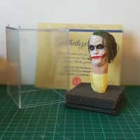 1/6 Scale Joker Custom Head Sculpt Hair for Hot Toys