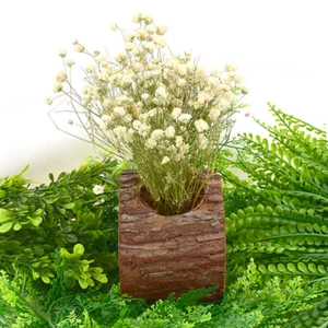 Wooden Flower Pot Tree Stump Planter Planters Pots Rustic Succulent - Picture 1 of 10