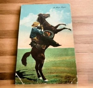 1908 S. Dakota Cowboy on Bucking Bronco A HIGH FLYER Menno Postcard Handwritten - Picture 1 of 7