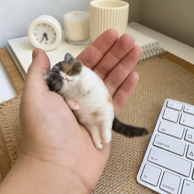 Beginner Friendly Wool Felt Cat Material Bag  Beginner Craft - Image 1 of 4