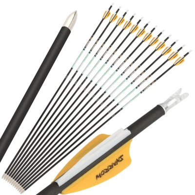 32" Archery Pure Carbon Arrows SP300-1000 Vanes .0001 Compound RecurveBow Target - Image 1 of 4