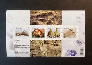 Stamps Canada Mint: #2424 Baby Wildlife Definitives (1) SS of 4 VF MNH - Picture 1 of 1
