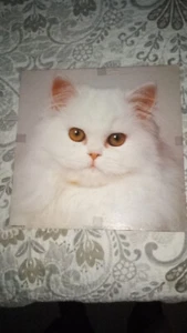 springbok vintage puzzle/snowball/PZL2088/ex-complete/read - Picture 1 of 3