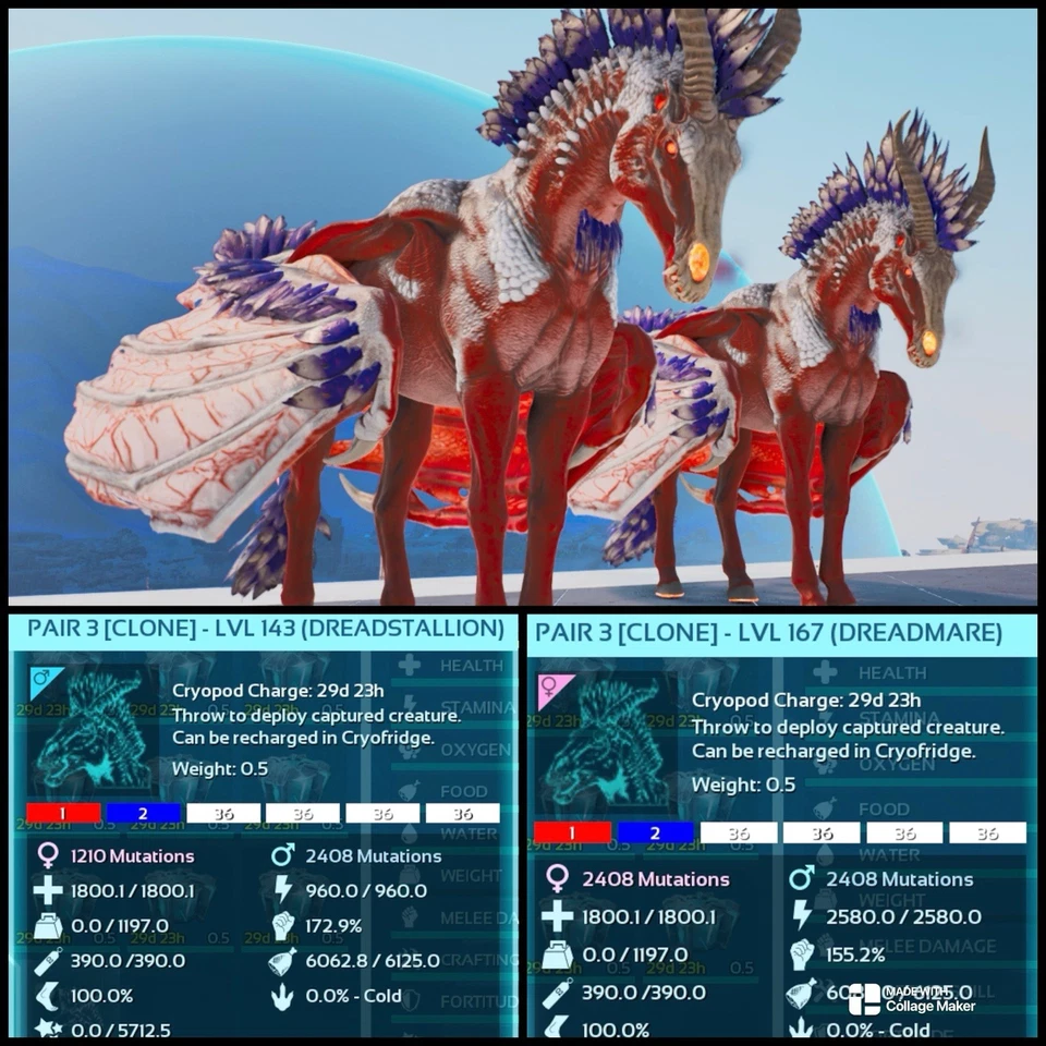 Ark Survival Ascended pve USA/RWB DREADMARE PAIR XBOX/PC/PS5