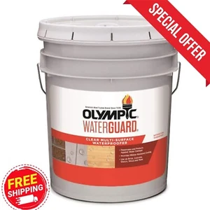 Waterguard Clear Multi-Surface Waterproofing Sealant 5 Gal Wood Concrete Masonry - Picture 1 of 7