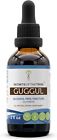 Secrets of the Tribe Guggul Alcohol-Free Liquid Extract, Guggul (Commiphora Muku