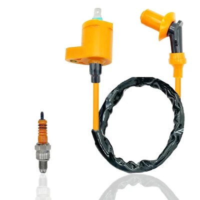 BOBINA DE ENCENDIDO Y ENCHUFE PARA HONDA CRF50F CRF70F CRF80F CRF100F XR50R XR70R XR80R Foto 1 de 4