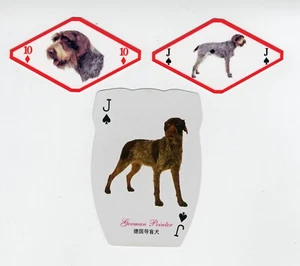GERMAN WIREHAIRED POINTER SINGLE COLLECTABLE DOG PLAYING CARDS - Picture 1 of 1