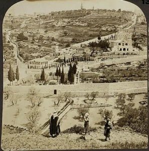 Stereoview Palestine Underwood 13 Garden of Gethsemane Mount of Olives c1900 - Picture 1 of 3