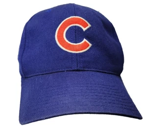 Etiqueta de aguja americana de colección ~ Sombrero de camionero con logotipo de Chicago Cubs azul blanco usado - Imagen 1 de 8