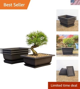 Classic Deep Brown Bonsai Pots with Built-In Drainage - 3-Pack for Plant Lovers - Picture 1 of 11