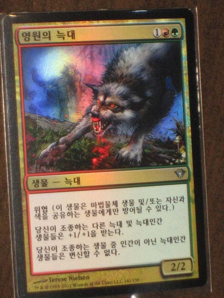 (Foil) [NM] MTG Korean, Dark Ascension,  1 x Immerwolf - Image 1 of 1