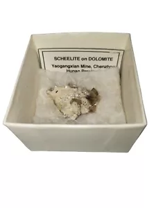 Scheelite On Dolomite Rock Yaogangxian Mine, Chenzhou Hunan Province China - Picture 1 of 8