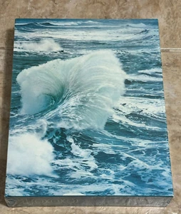 NEW Vintage Spindrift Another View CR Gibson 1000 Piece Wave Jigsaw Puzzle 1977 - Picture 1 of 3