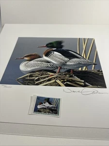 1994-1995 Federal Duck Stamp Print- Red-breasted MerganserNeal Anderson.5900numb - Picture 1 of 8