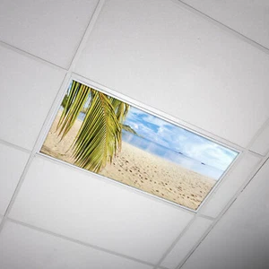 Octo Lights - Fluorescent Light Covers - Classroom, Office, Home - Beach - 004 - Picture 1 of 7