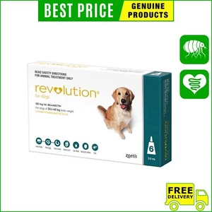 Revolution Teal 6 Pack – Dogs 20.1–40 Kg Full Parasite Protection - Picture 1 of 2
