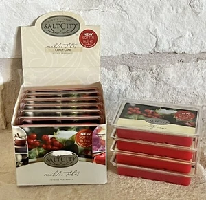 Salt City Candle Company CANDY CANE Melter Tiles Bar 3oz Discontinued RARE! - Bild 1 von 3