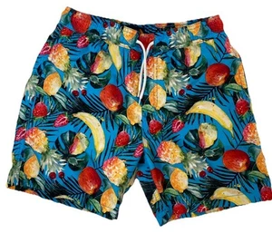 Trunks surf & swim boys swim trunks size L colorful fruit with mesh lining - Picture 1 of 7
