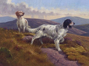 ENGLISH SETTER CHARMING DOG GREETINGS NOTE CARD TWO BEAUTIFUL DOGS ON MOORLAND - Bild 1 von 1