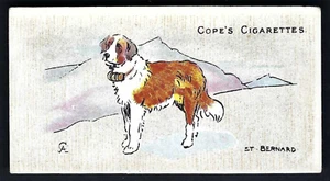 COPE - DOGS OF THE WORLD (ENGLISH) - #31 ST BERNARD - Picture 1 of 2