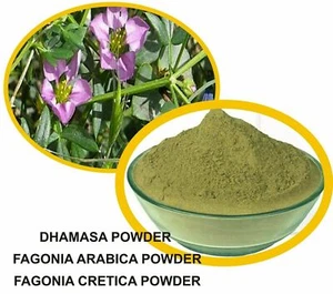 Organic Dhamasa Fagonia Cetica Fagonia Arabica Flower Powder-100 Gram Pack FS - Picture 1 of 3