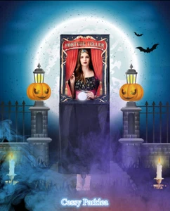 W-N4-3 Ladies Fortune Teller Booth Halloween Adult Outfit - Picture 1 of 8