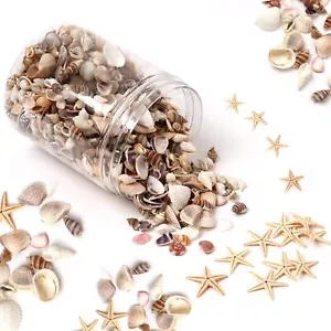 1200 Pieces Tiny Sea Shells Small Natural Starfish Mixed Ocean Beach Spiral Seas - Picture 1 of 7