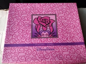 Disney Parks Rose Bilderrahmen Malefiz Dornröschen  - Bild 1 von 6