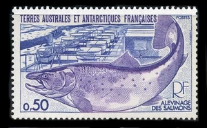 French Southern & Antarctic Territory: 1977 Salmon and Hatchery (70) MNH - Picture 1 of 1