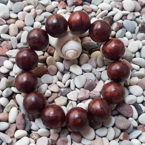Encantadora pulsera de madera Menang de 18 mm Dalbergia Parviflora 13 cuentas Akar Laka #8 - Imagen 1 de 6