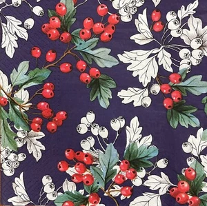 Two Individual Luncheon Decoupage Paper Napkins Fruits Berries Spring Botanical - Picture 1 of 11