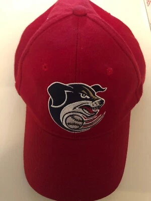 Lincoln Nebraska Salt Dogs Baseball Hat Cap Men's - Image 1 of 4