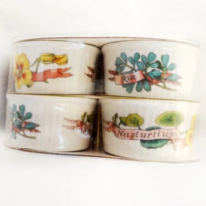 COUNTRY KITCHEN by Royal Worcester Set of 6 Ramekin 3.25" NEW NEVER USED England - Picture 1 of 10