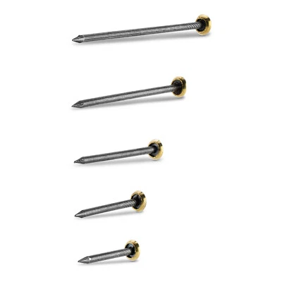 S&S-SHOP Stahl Bildernägel Stahlbildernägel 20-50mm gehärtet | Messingkopf Bilder Nägel