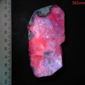 Sodalite UV reactive rough long wave fluorescent glowing mineral specimen 596ct - Picture 1 of 8