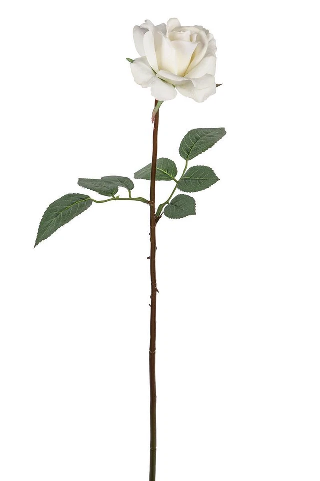 Fink Rose  Kunstblume  Kunstfasern  weiß  Höhe 68 cm   180372 - Bild 1 von 1