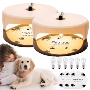 Flea Trap Electric Killer Home Pest Control Sticky Disc Spare Lamp Non-toxic Pad - Picture 1 of 15