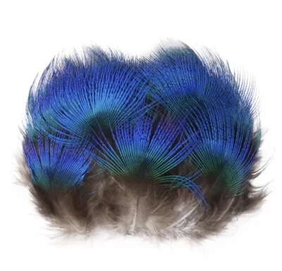 Plumas de plumaje de cuello de pavo real azul natural 10 piezas hágalo usted mismo artesanía sombrerería joyería Foto 1 de 4