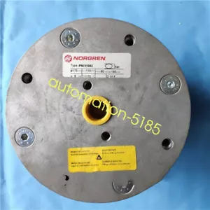 uno NUOVO NORGREN PM/31062 correzione cilindro vescica spot stock Fedex o DHL - Foto 1 di 1