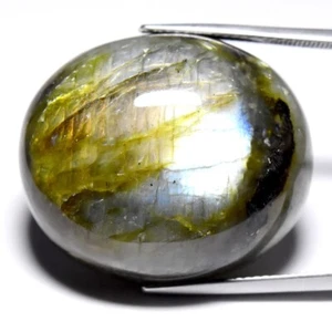 ๐ Huge! 68.95ct Oval Natural Rainbow With Luster Labradorite - Africa Gem - Picture 1 of 10