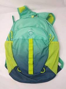 NEW - Firefly Unisex Youth Size 11x4.5x15" Outdoor Gear Backpack Green Rucksack - Picture 1 of 7