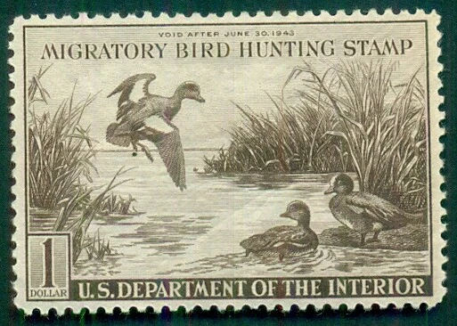 US #RW9, $1.00 Baldpates, og, LH, F/VF - Image 1 of 1