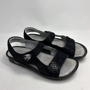 Sandalias ALEGRIA Beckie Waverly negras con correa de cuero US-9.5/10 EU40 - Imagen 1 de 9
