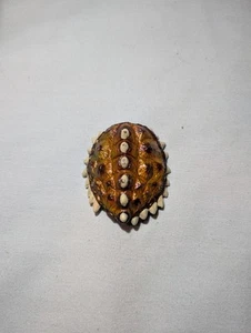 Transformers Beast Wars Fuzors Terragator Original Shell Shield Part Replacement - Picture 1 of 5