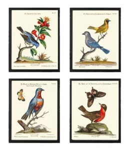 Vintage Bird Nest Wall Art Prints Set of 4 Beautiful Antique Dining Unframed - Picture 1 of 9
