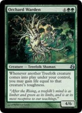 1x Orchard Warden NM, English MTG Morningtide